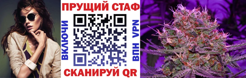 ГАШ Шенкурск