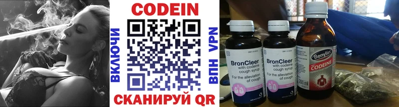 как найти наркотики  omg онион  Кодеин Purple Drank  Шенкурск 