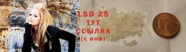 спайс Няндома