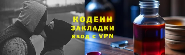 спайс Няндома