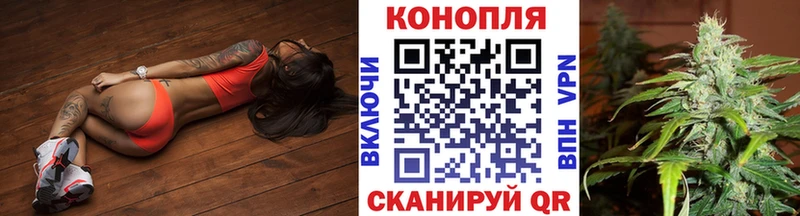Бошки Шишки гибрид Шенкурск